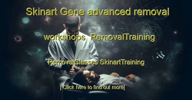 Skinart Gene advanced removal workshops | #RemovalTraining #RemovalClasses #SkinartTraining-Sweden