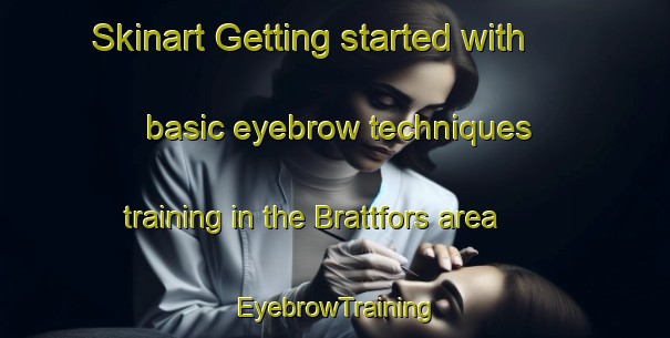 Skinart Getting started with basic eyebrow techniques training in the Brattfors area | EyebrowTraining | EyebrowClasses | SkinartTraining-Sweden