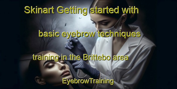 Skinart Getting started with basic eyebrow techniques training in the Brittebo area | EyebrowTraining | EyebrowClasses | SkinartTraining-Sweden