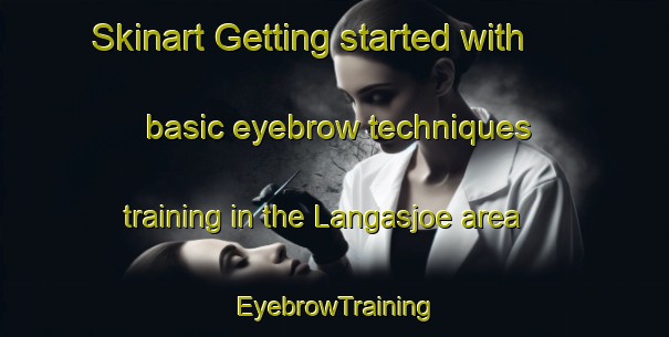 Skinart Getting started with basic eyebrow techniques training in the Langasjoe area | EyebrowTraining | EyebrowClasses | SkinartTraining-Sweden