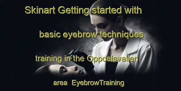 Skinart Getting started with basic eyebrow techniques training in the Oppdalsvallen area | EyebrowTraining | EyebrowClasses | SkinartTraining-Sweden