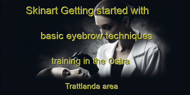 Skinart Getting started with basic eyebrow techniques training in the Ostra Trattlanda area | EyebrowTraining | EyebrowClasses | SkinartTraining-Sweden