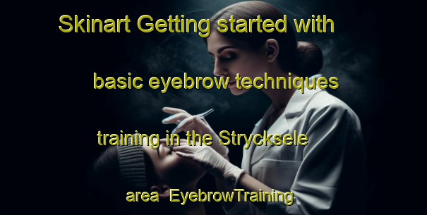 Skinart Getting started with basic eyebrow techniques training in the Strycksele area | EyebrowTraining | EyebrowClasses | SkinartTraining-Sweden