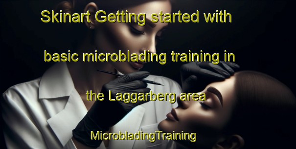 Skinart Getting started with basic microblading training in the Laggarberg area | MicrobladingTraining | MicrobladingClasses | SkinartTraining-Sweden