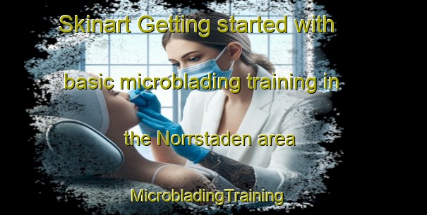 Skinart Getting started with basic microblading training in the Norrstaden area | MicrobladingTraining | MicrobladingClasses | SkinartTraining-Sweden