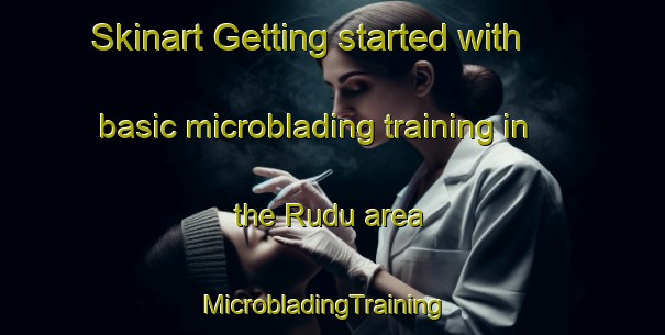 Skinart Getting started with basic microblading training in the Rudu area | MicrobladingTraining | MicrobladingClasses | SkinartTraining-Sweden