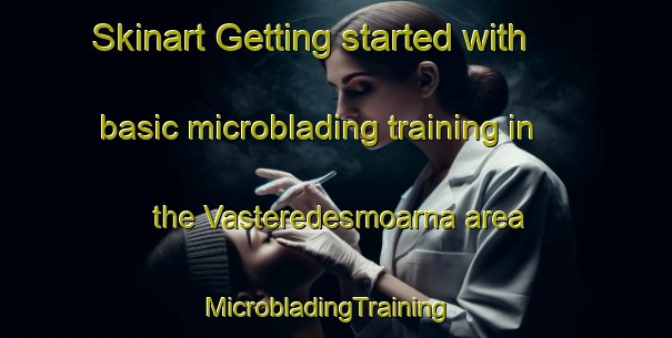 Skinart Getting started with basic microblading training in the Vasteredesmoarna area | MicrobladingTraining | MicrobladingClasses | SkinartTraining-Sweden