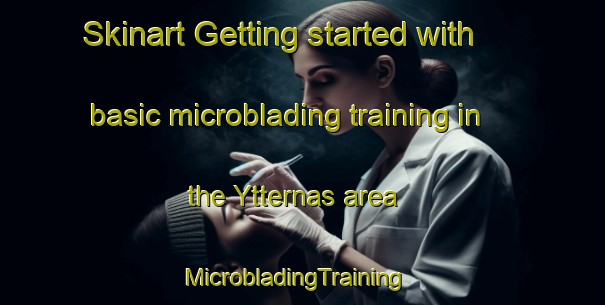 Skinart Getting started with basic microblading training in the Ytternas area | MicrobladingTraining | MicrobladingClasses | SkinartTraining-Sweden