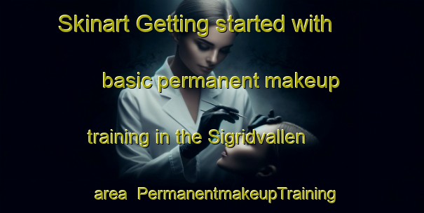 Skinart Getting started with basic permanent makeup training in the Sigridvallen area | PermanentmakeupTraining | PermanentmakeupClasses | SkinartTraining-Sweden