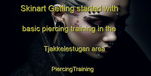 Skinart Getting started with basic piercing training in the Tjakkelestugan area | PiercingTraining | PiercingClasses | SkinartTraining-Sweden