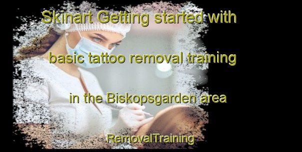 Skinart Getting started with basic tattoo removal training in the Biskopsgarden area | RemovalTraining | RemovalClasses | SkinartTraining-Sweden