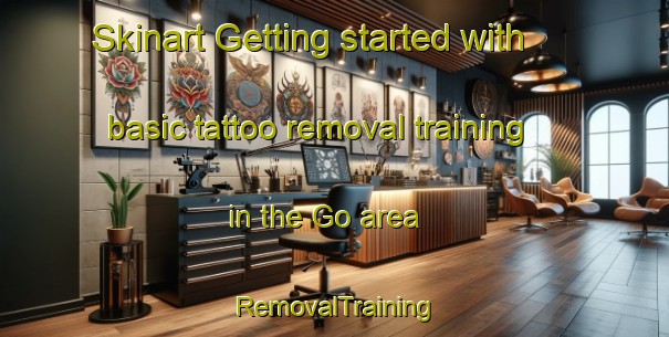 Skinart Getting started with basic tattoo removal training in the Go area | RemovalTraining | RemovalClasses | SkinartTraining-Sweden