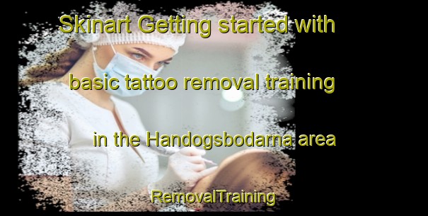 Skinart Getting started with basic tattoo removal training in the Handogsbodarna area | RemovalTraining | RemovalClasses | SkinartTraining-Sweden