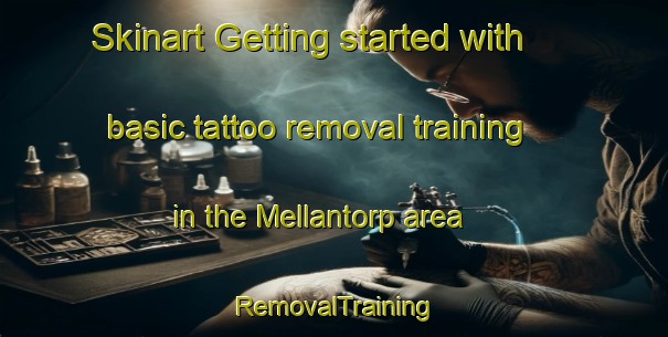 Skinart Getting started with basic tattoo removal training in the Mellantorp area | RemovalTraining | RemovalClasses | SkinartTraining-Sweden