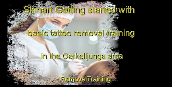 Skinart Getting started with basic tattoo removal training in the Oerkelljunga area | RemovalTraining | RemovalClasses | SkinartTraining-Sweden