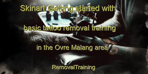 Skinart Getting started with basic tattoo removal training in the Ovre Malang area | RemovalTraining | RemovalClasses | SkinartTraining-Sweden