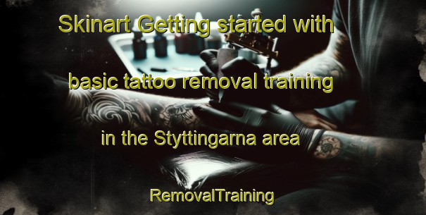 Skinart Getting started with basic tattoo removal training in the Styttingarna area | RemovalTraining | RemovalClasses | SkinartTraining-Sweden