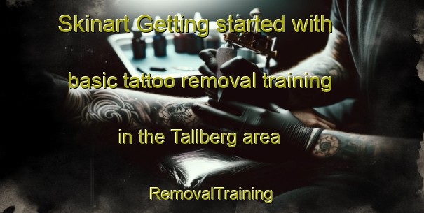 Skinart Getting started with basic tattoo removal training in the Tallberg area | RemovalTraining | RemovalClasses | SkinartTraining-Sweden