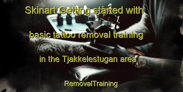 Skinart Getting started with basic tattoo removal training in the Tjakkelestugan area | RemovalTraining | RemovalClasses | SkinartTraining-Sweden