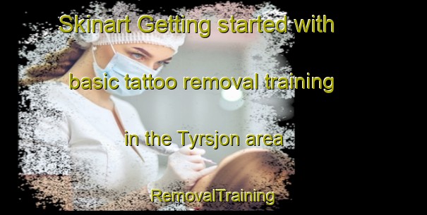 Skinart Getting started with basic tattoo removal training in the Tyrsjon area | RemovalTraining | RemovalClasses | SkinartTraining-Sweden