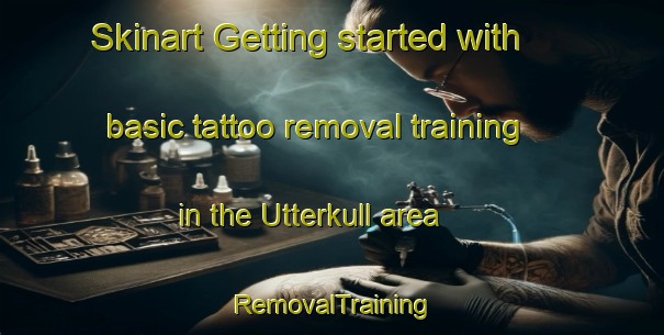 Skinart Getting started with basic tattoo removal training in the Utterkull area | RemovalTraining | RemovalClasses | SkinartTraining-Sweden