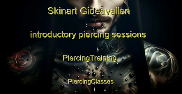 Skinart Gideavallen introductory piercing sessions | #PiercingTraining #PiercingClasses #SkinartTraining-Sweden