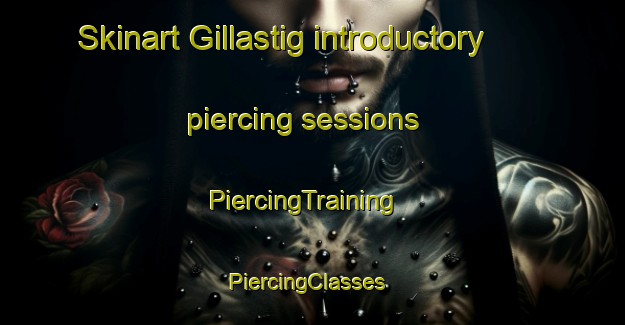 Skinart Gillastig introductory piercing sessions | PiercingTraining | PiercingClasses | SkinartTraining-Sweden