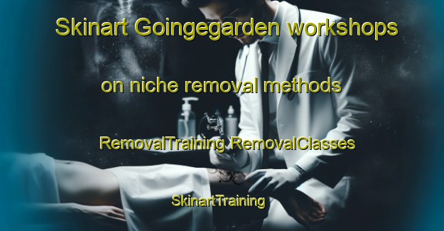 Skinart Goingegarden workshops on niche removal methods | #RemovalTraining #RemovalClasses #SkinartTraining-Sweden