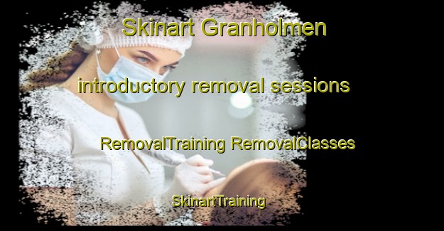 Skinart Granholmen introductory removal sessions | #RemovalTraining #RemovalClasses #SkinartTraining-Sweden