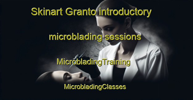Skinart Granto introductory microblading sessions | MicrobladingTraining | MicrobladingClasses | SkinartTraining-Sweden