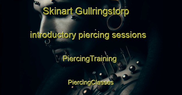 Skinart Gullringstorp introductory piercing sessions | #PiercingTraining #PiercingClasses #SkinartTraining-Sweden