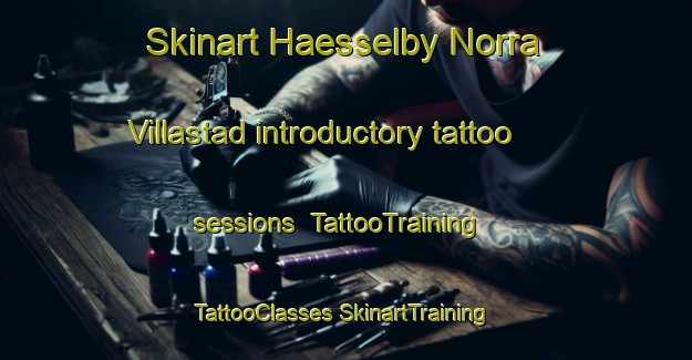 Skinart Haesselby Norra Villastad introductory tattoo sessions | #TattooTraining #TattooClasses #SkinartTraining-Sweden