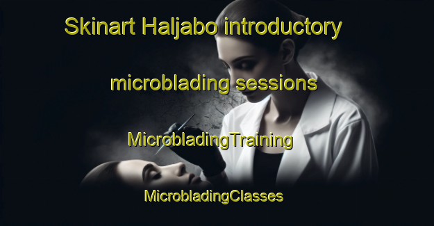 Skinart Haljabo introductory microblading sessions | MicrobladingTraining | MicrobladingClasses | SkinartTraining-Sweden