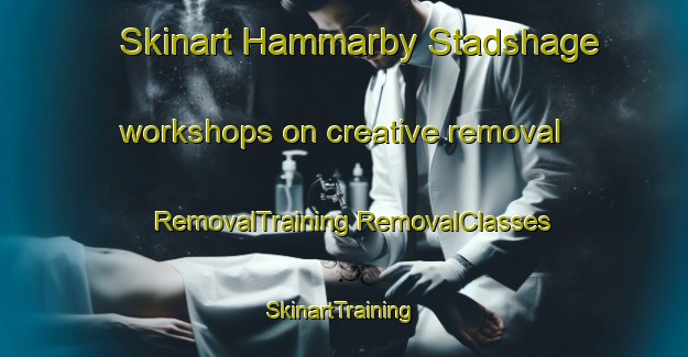 Skinart Hammarby Stadshage workshops on creative removal | #RemovalTraining #RemovalClasses #SkinartTraining-Sweden