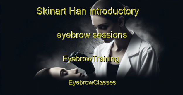 Skinart Han introductory eyebrow sessions | EyebrowTraining | EyebrowClasses | SkinartTraining-Sweden