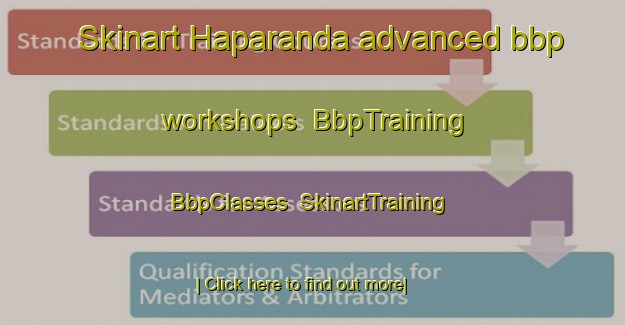 Skinart Haparanda advanced bbp workshops | BbpTraining | BbpClasses | SkinartTraining-Sweden