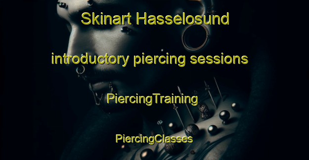 Skinart Hasselosund introductory piercing sessions | #PiercingTraining #PiercingClasses #SkinartTraining-Sweden