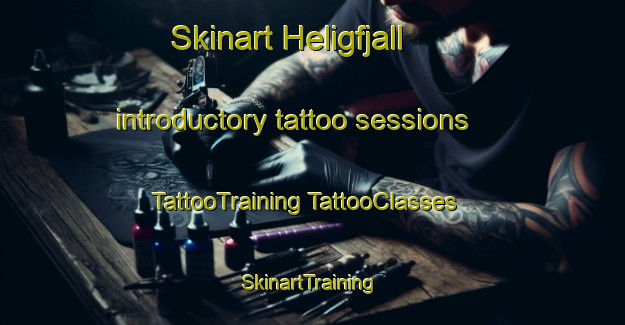 Skinart Heligfjall introductory tattoo sessions | #TattooTraining #TattooClasses #SkinartTraining-Sweden