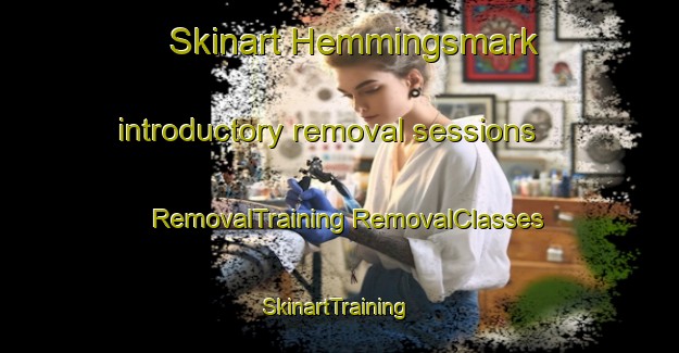 Skinart Hemmingsmark introductory removal sessions | #RemovalTraining #RemovalClasses #SkinartTraining-Sweden