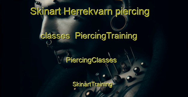 Skinart Herrekvarn piercing classes | PiercingTraining | PiercingClasses | SkinartTraining-Sweden