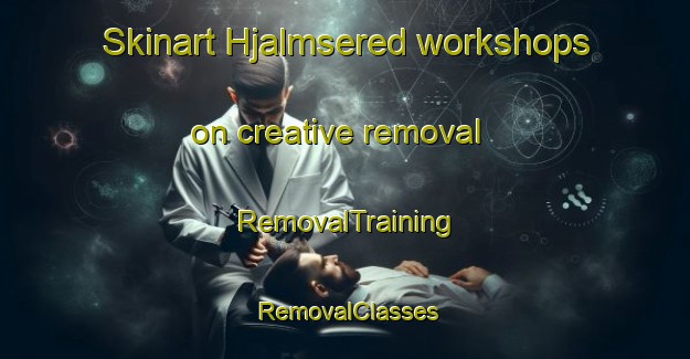 Skinart Hjalmsered workshops on creative removal | RemovalTraining | RemovalClasses | SkinartTraining-Sweden