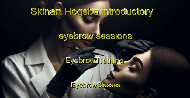 Skinart Hogsbo introductory eyebrow sessions | EyebrowTraining | EyebrowClasses | SkinartTraining-Sweden