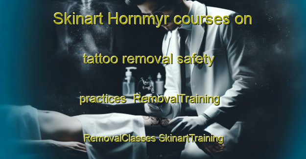 Skinart Hornmyr courses on tattoo removal safety practices | #RemovalTraining #RemovalClasses #SkinartTraining-Sweden