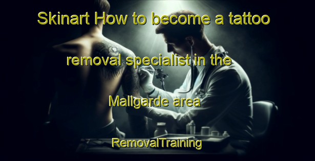 Skinart How to become a tattoo removal specialist in the Mallgarde area | RemovalTraining | RemovalClasses | SkinartTraining-Sweden