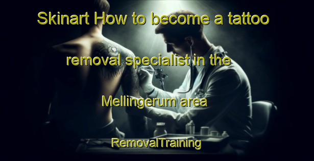 Skinart How to become a tattoo removal specialist in the Mellingerum area | RemovalTraining | RemovalClasses | SkinartTraining-Sweden