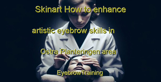 Skinart How to enhance artistic eyebrow skills in Ostra Planteringen area | EyebrowTraining | EyebrowClasses | SkinartTraining-Sweden