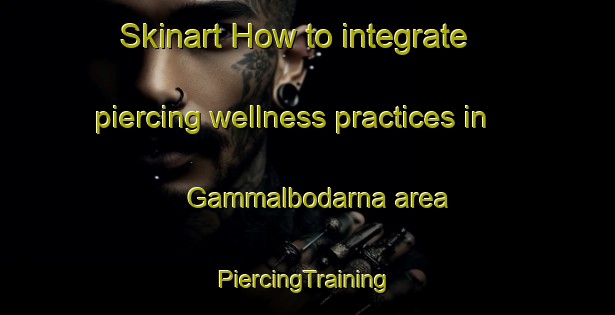 Skinart How to integrate piercing wellness practices in Gammalbodarna area | #PiercingTraining #PiercingClasses #SkinartTraining-Sweden