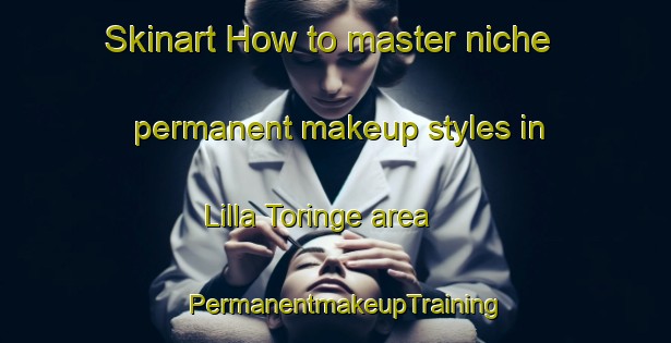 Skinart How to master niche permanent makeup styles in Lilla Toringe area | PermanentmakeupTraining | PermanentmakeupClasses | SkinartTraining-Sweden