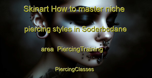 Skinart How to master niche piercing styles in Soderbodane area | PiercingTraining | PiercingClasses | SkinartTraining-Sweden