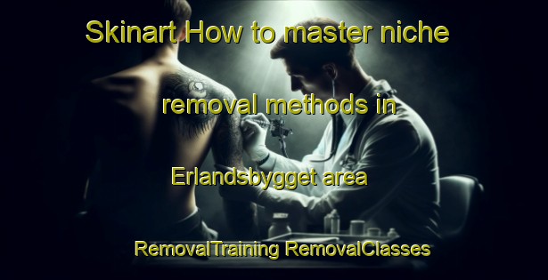 Skinart How to master niche removal methods in Erlandsbygget area | #RemovalTraining #RemovalClasses #SkinartTraining-Sweden